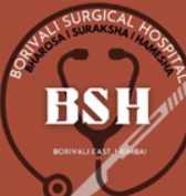 BSH logo