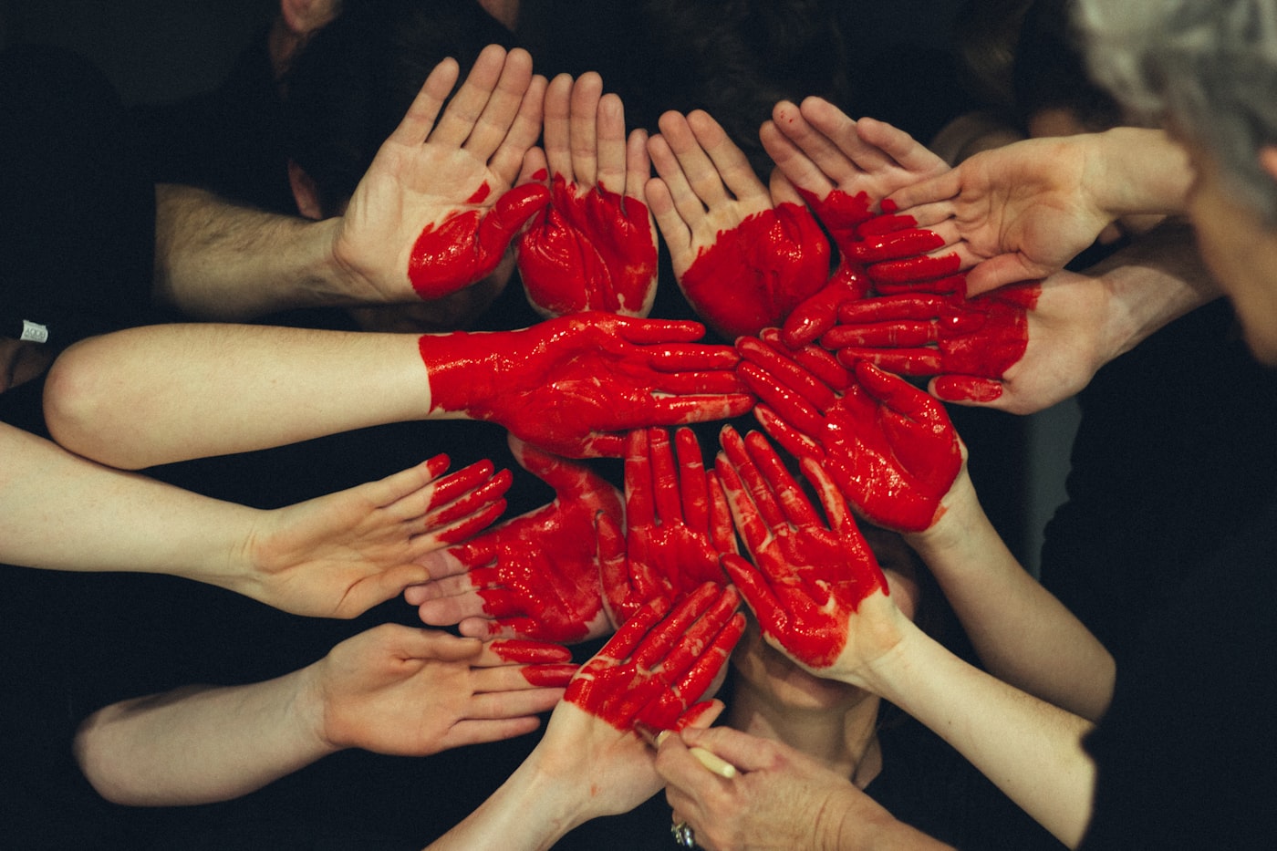 NGO & Nonprofit software development